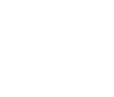 decorative shape